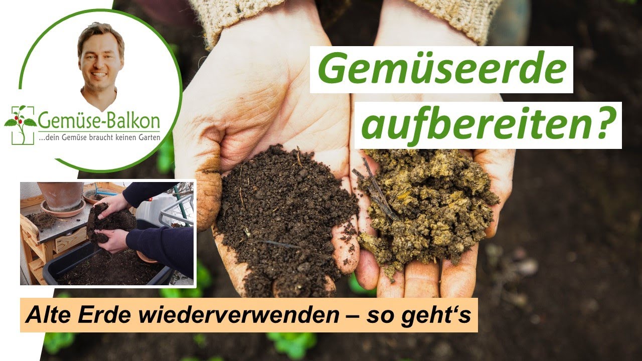 Alte Gemüseerde aufbereiten 🌱 und wiederverwenden 🪴