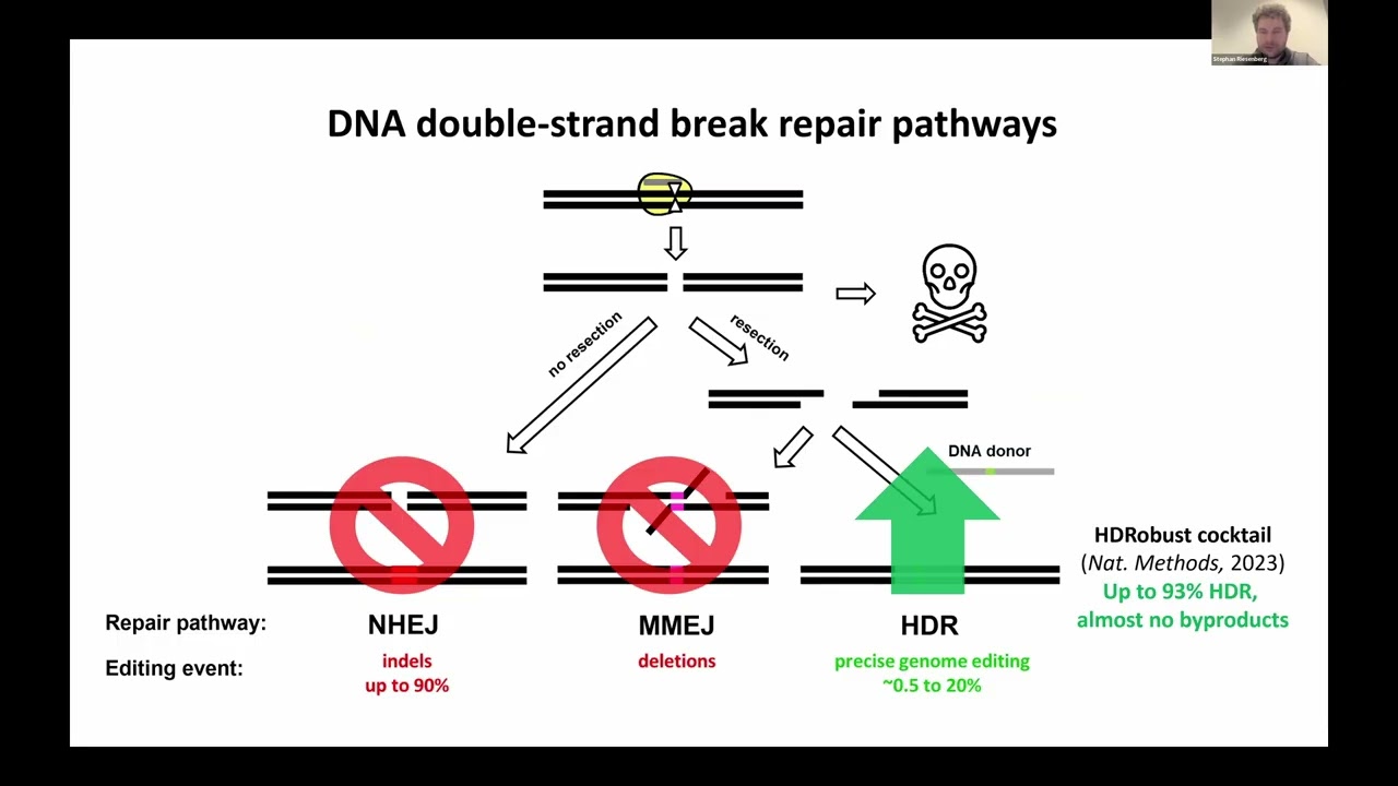 Эффективное создание генетических вариантов с помощью CRISPR для функционального анализа - Стефан...