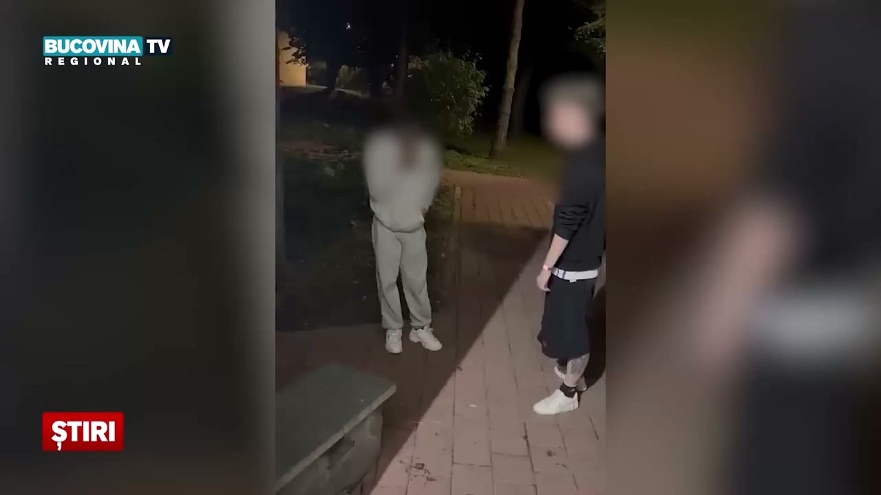 Noi detalii &icirc;n cazul grupului violent din Suceava
