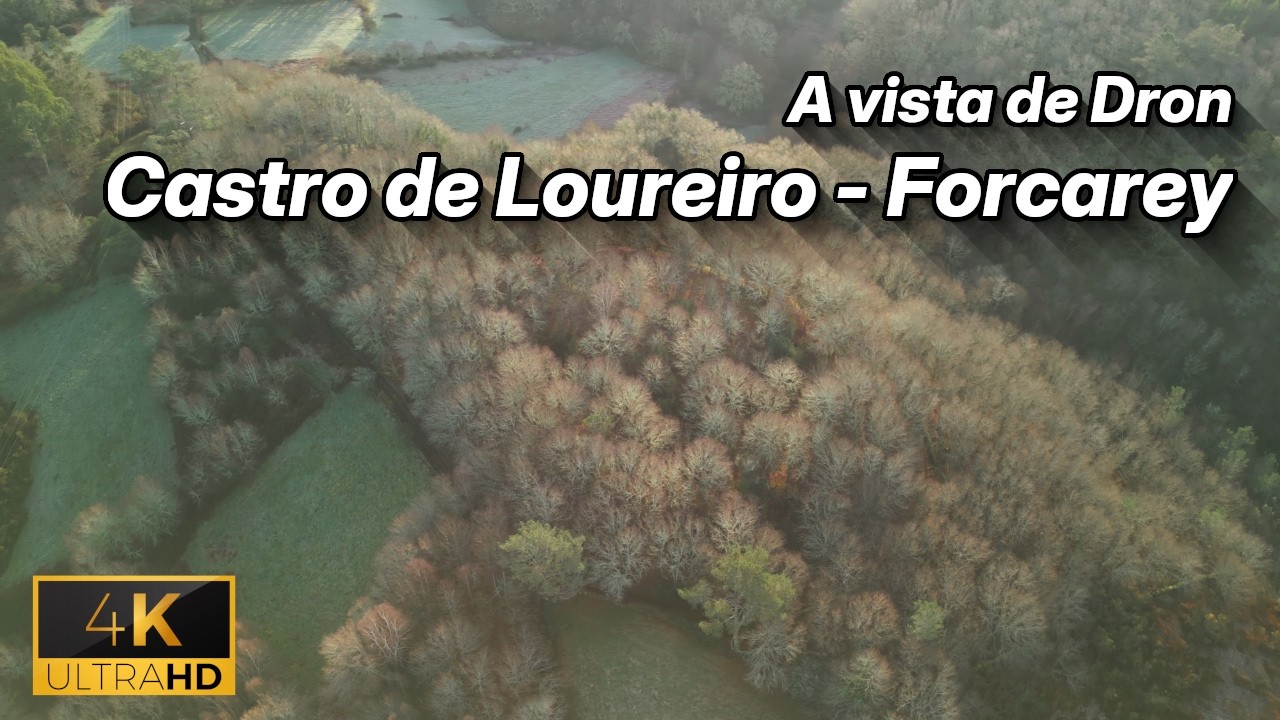Castro de Loureiro (Forcarey) a vista de Dron (22/02/2026) | DJI Mini 3 Pro