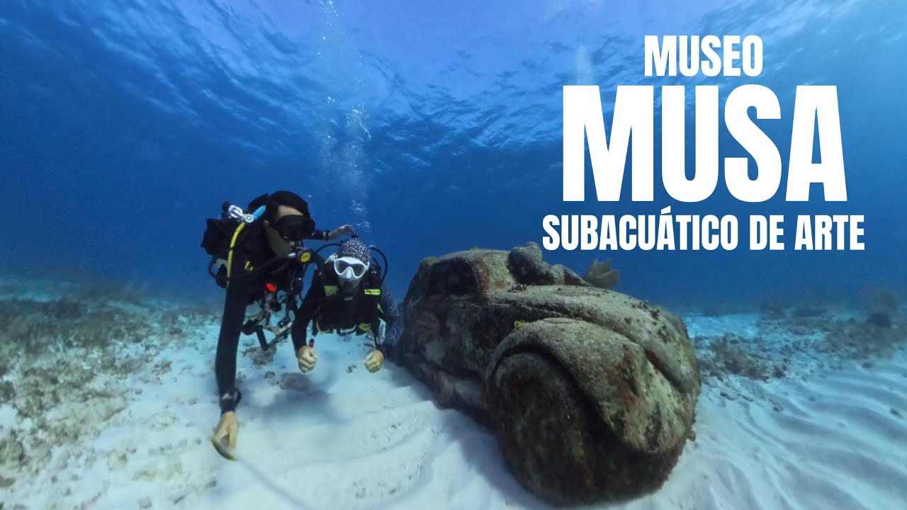 Buceando en el MUSA /CANCUN-ISLA MUJERES/ Buceo para cualquier nivel de buceador