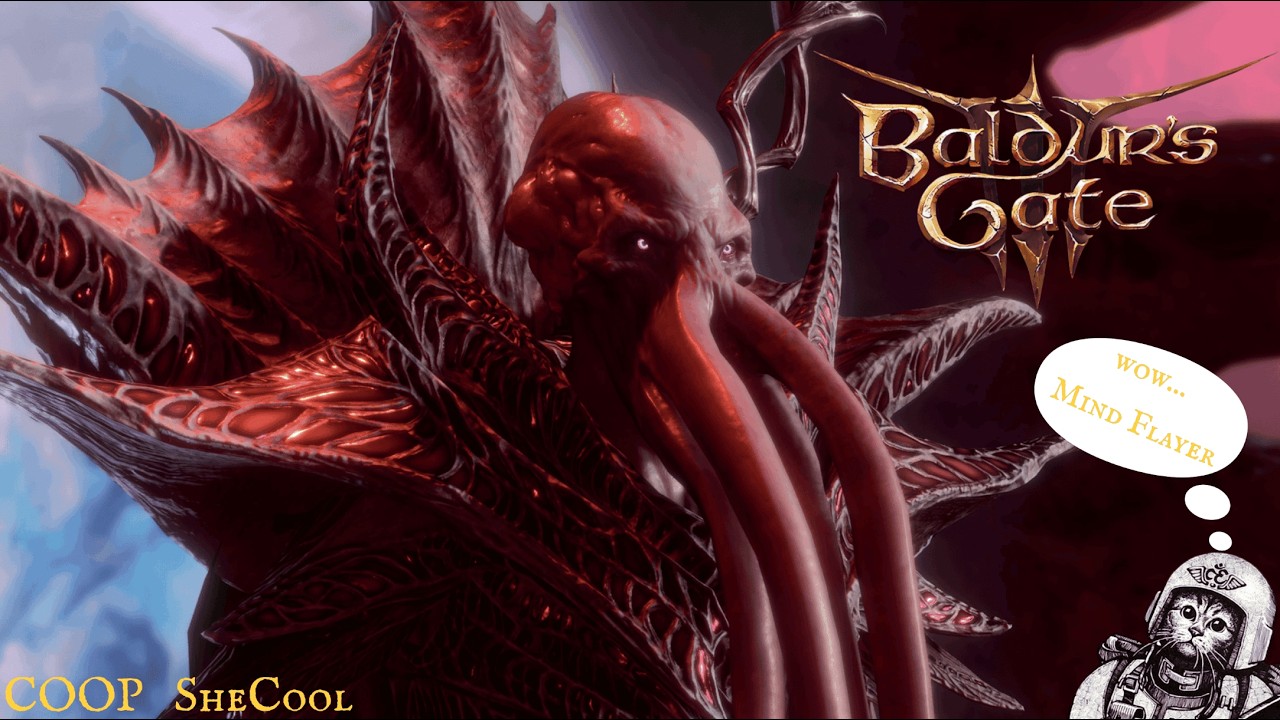 Baldurs Gate 3 / COOP SheCool