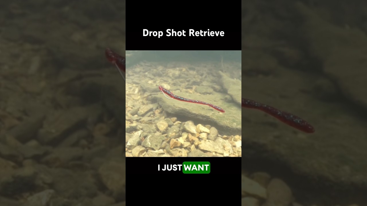 How to Retrieve a Drop Shot