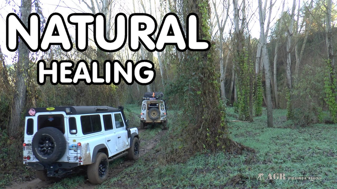 LAND ROVER DEFENDER 4WD NATURAL HEALING