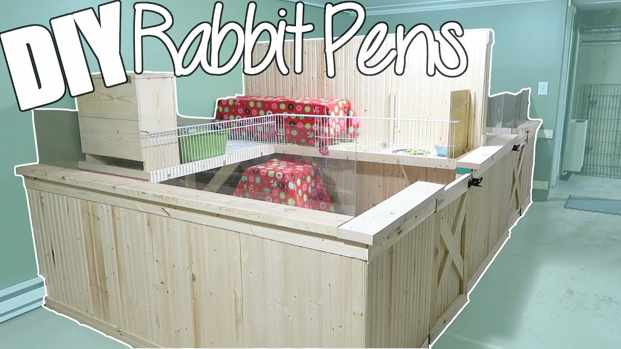 New DIY Rabbit Cage Tour