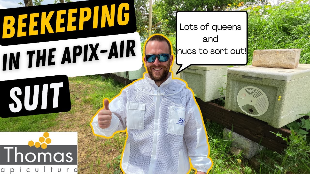 Sorting Out Nucs and Queens In The Vented Apix-Air Beekeeping Suit