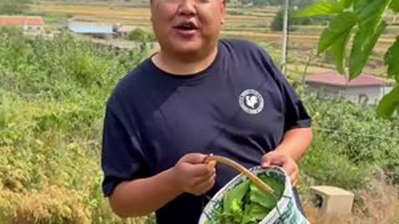 桑叶菜墩么配臭虾酱是真的香#记录好好的自己 #新农人计划2025 #农村美食 #桑叶