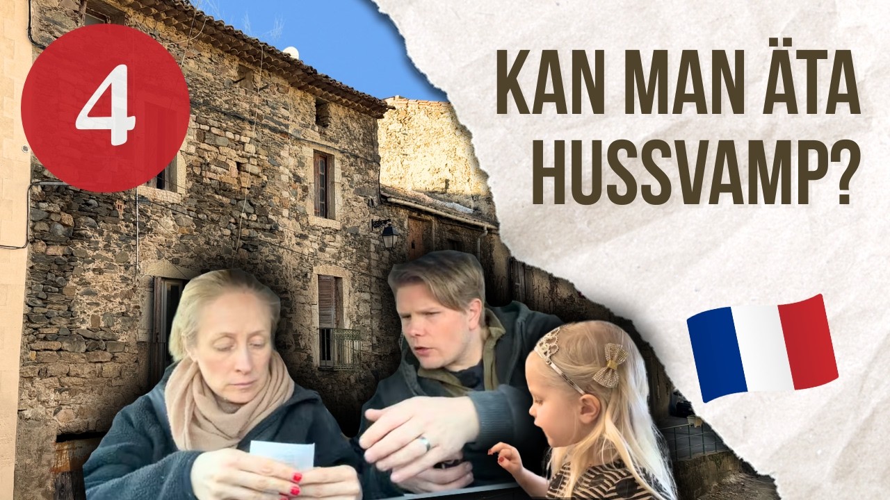 Ruin till dröm i södra Frankrike - Del 4 - Hussvamp? Är du säker på att det inte är kantareller?
