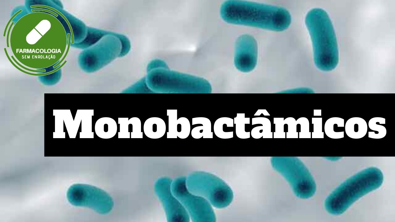Monob&acirc;ctamicos - Beta Lact&acirc;micos