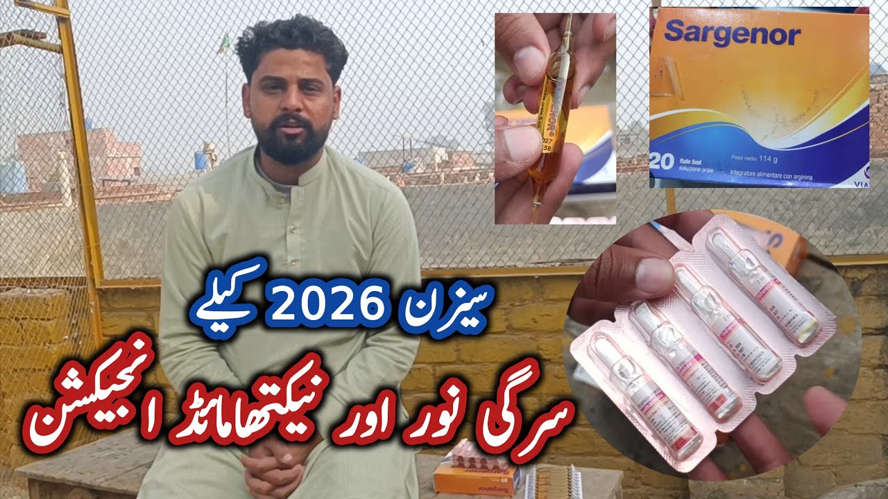 Kabotro Ki Sambhal Or Parwaz K Liya Best Cheez 03034273799