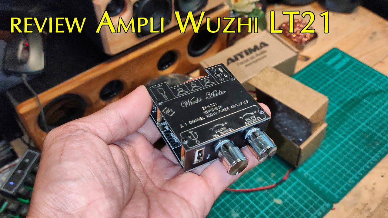 Review Ampli Wuzhi ZK LT21