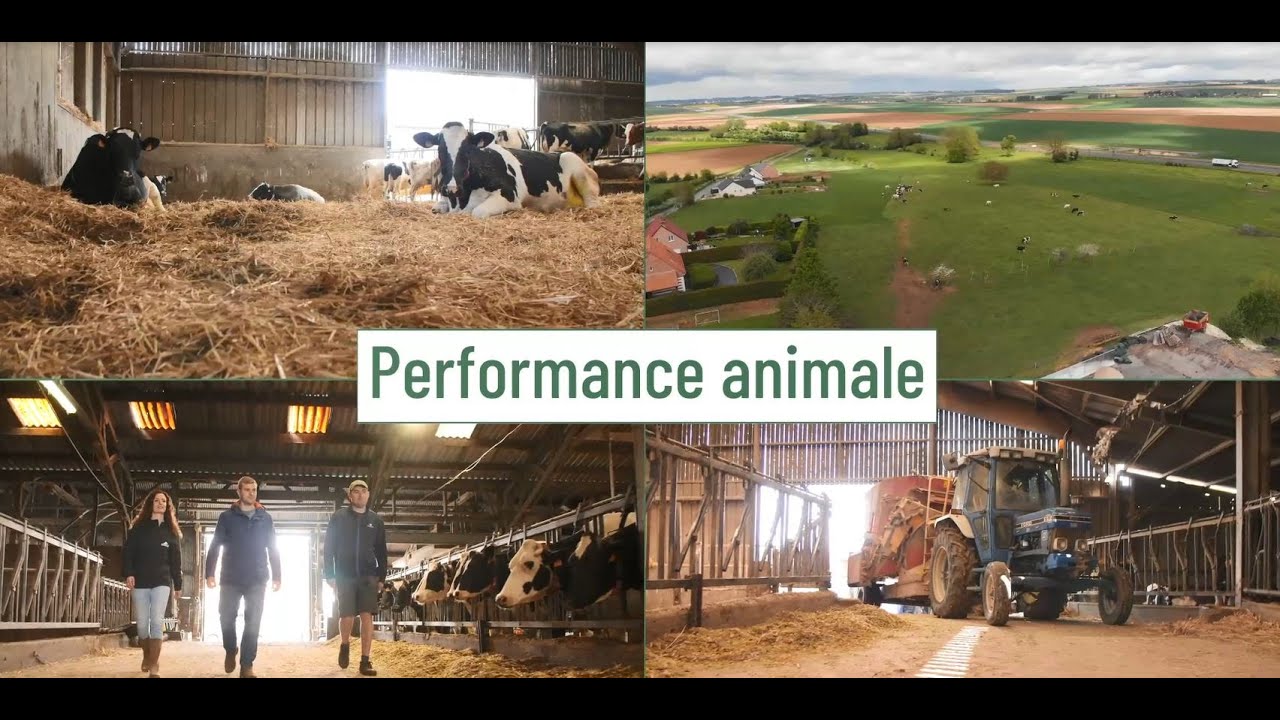 S1-E7 : TECHNIDAY TOUR - Performance animale