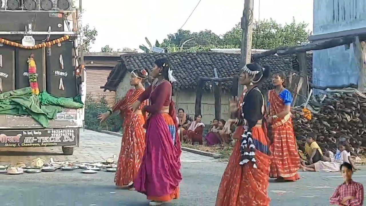 Deusi Bhailo Dance 2080 in Bhelai!! Rj Loves.