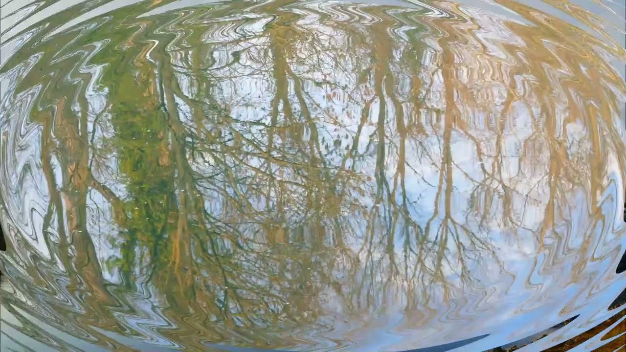 Wasserspiegelung kleine Naturkunstwerke