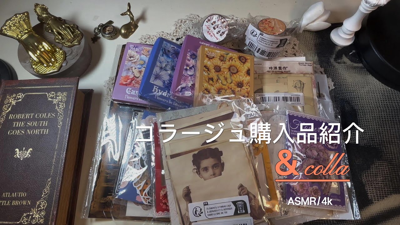 【ASMR/4K】コラージュ購入品紹介/journal