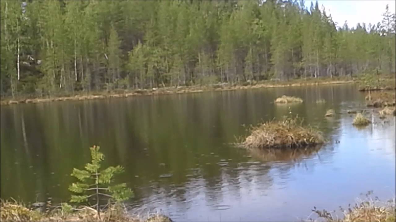 10.6. 2015 paluu Nellimistä