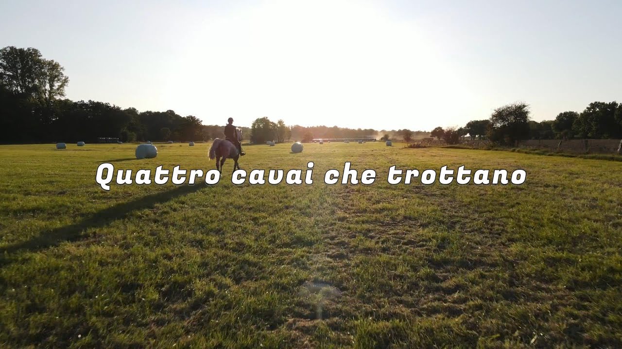 Quattro Cavai Che Trottano - El Canfin (Lyric Video)