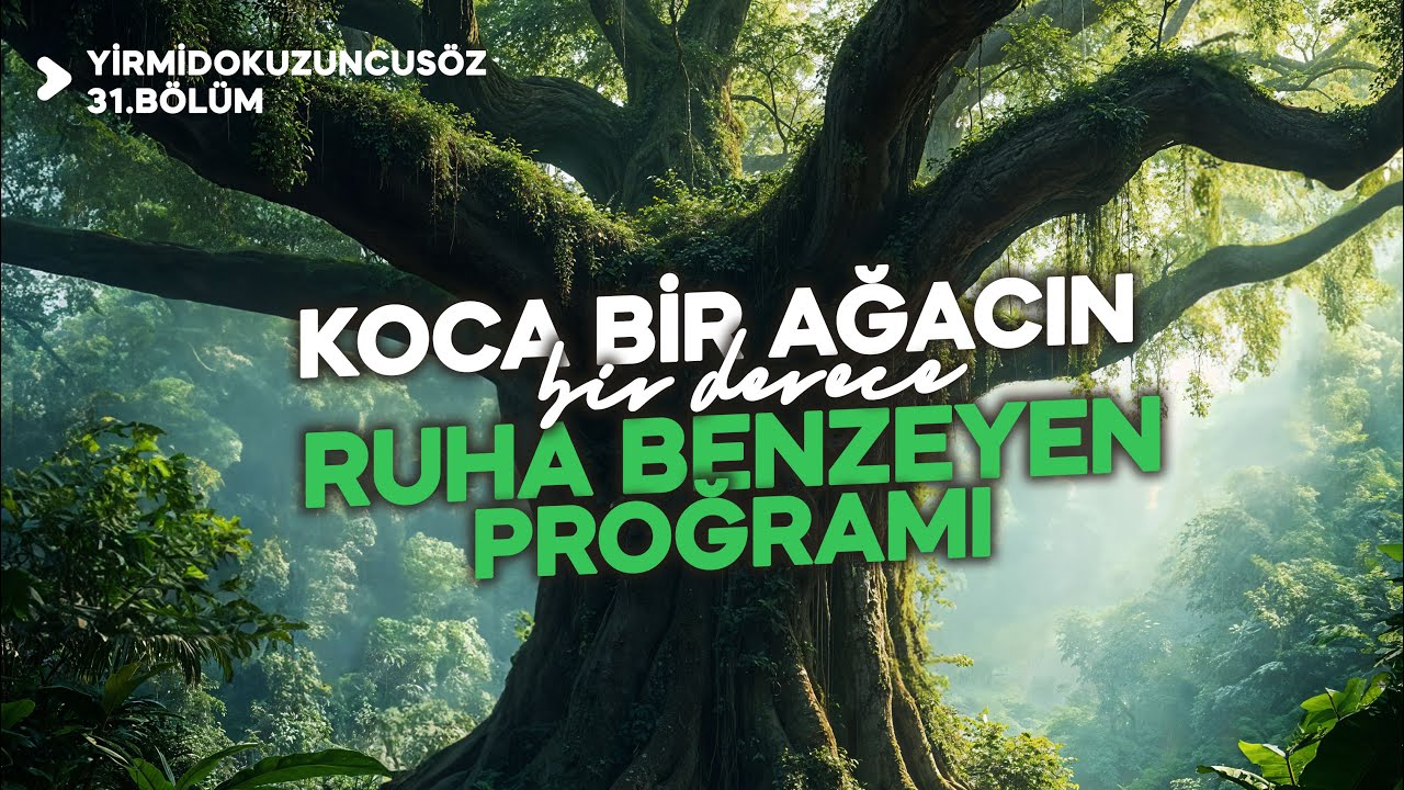 KOCA BİR AĞACIN BİR DERECE RUHA BENZEYEN PROĞRAMI! | YİRMİDOKUZUNCUSÖZ - 31.BÖLÜM