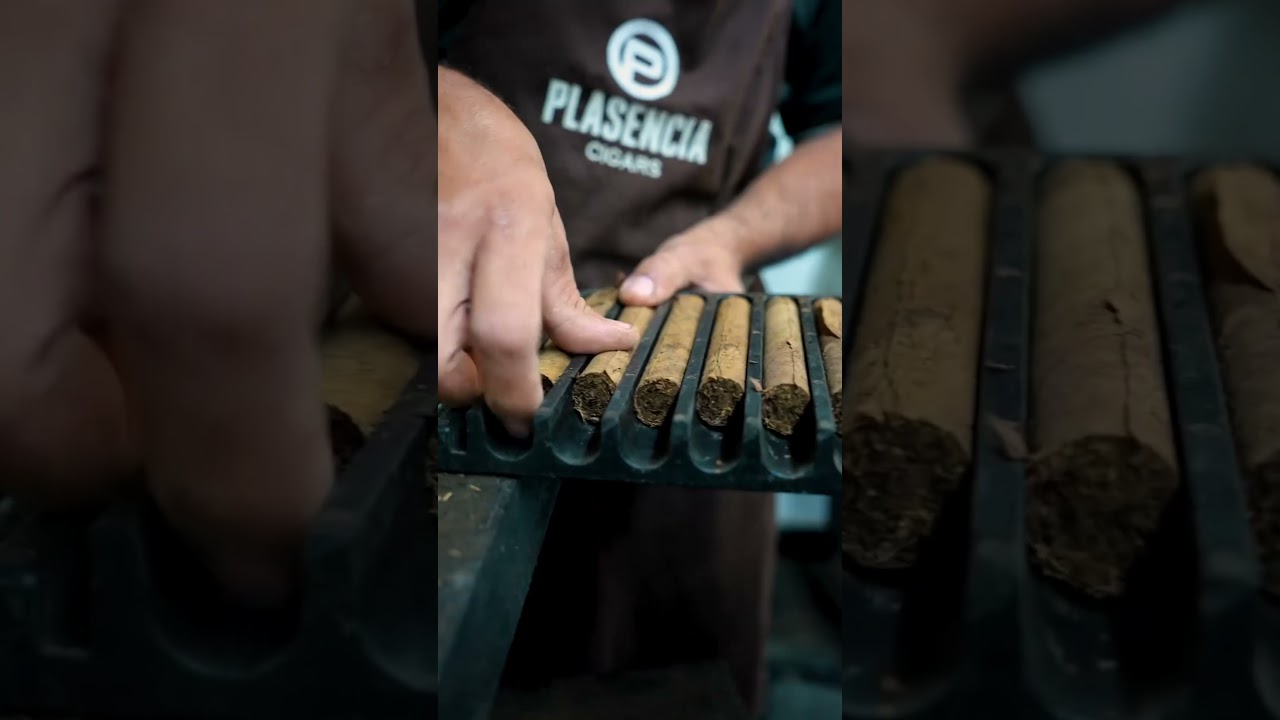 At Plasencia, quality is a way of life. Every step of our cigar-making process is executed by hand.