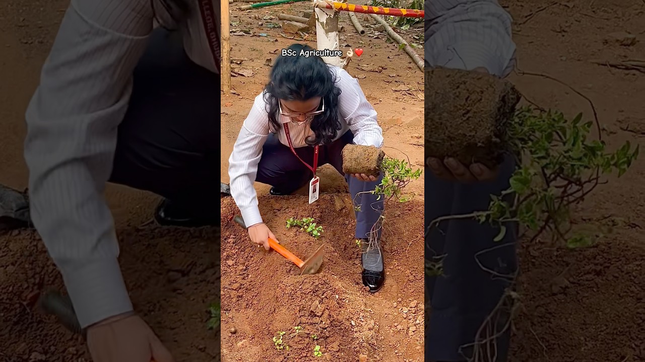 BSc Agriculture | BSc Agriculture Course Details | Bsc Agriculture Student Life