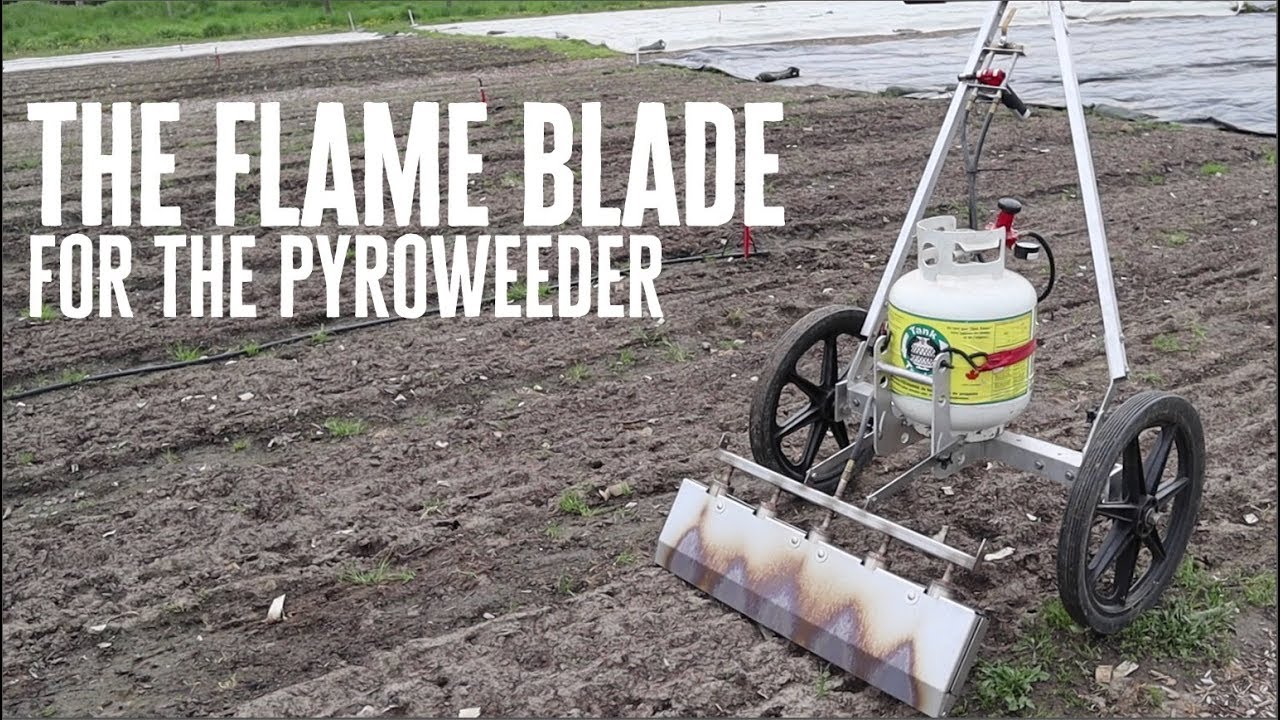 Flame Weeder Revolution: The New Champion on the Market!