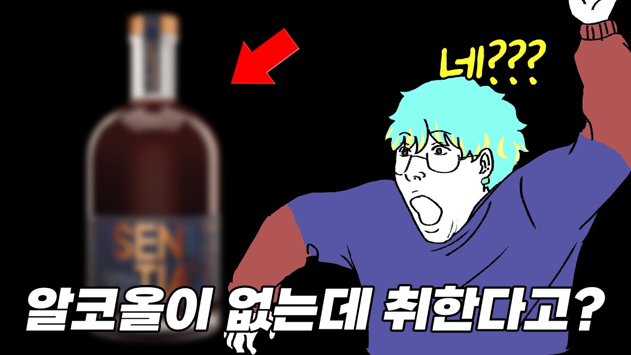 알코올이 없는데 취하는 술이 나왔다고? / 센티아 가바 레드