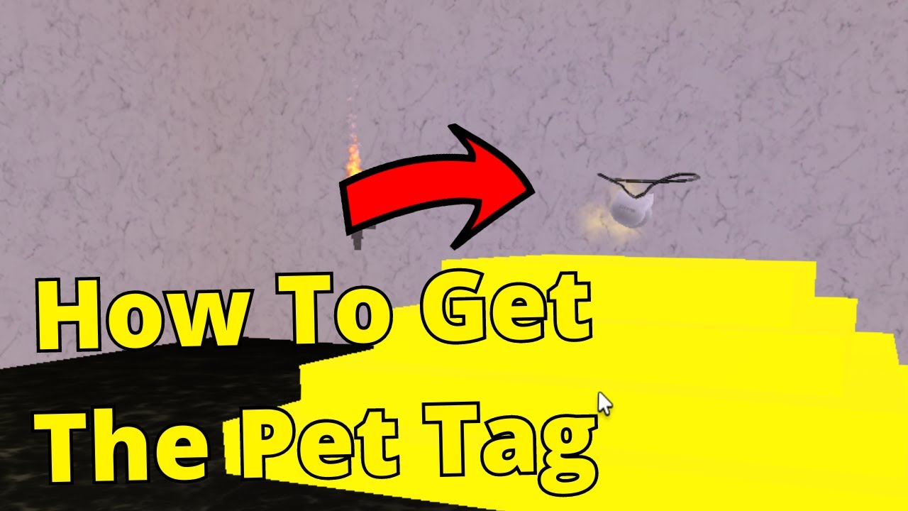 How To Get The pet Tag [Wacky Wizards]
