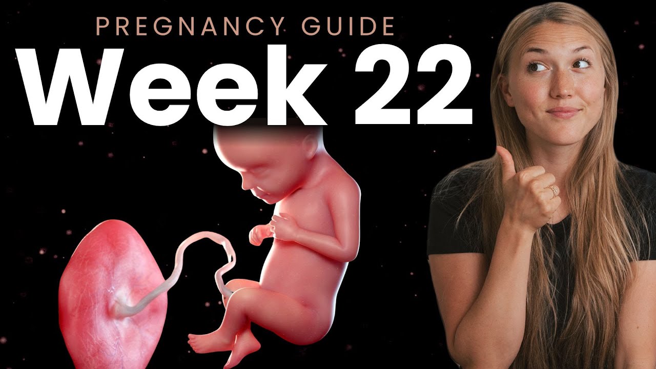 22 Weeks Pregnant | Week By Week Pregnancy