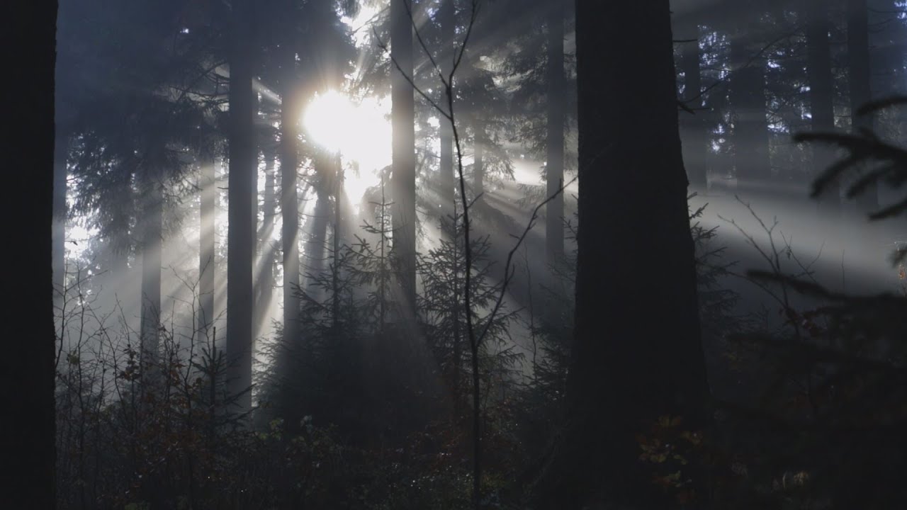 Bayerischer Wald - Urlaub in der Dreisesselgemeinde Neureichenau / Imagefilm
