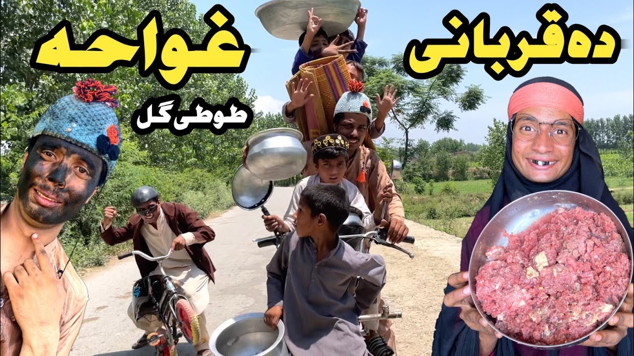 Da Qurbani Ghwahy || New Funny Video 2024 By Tuti Gull Official
