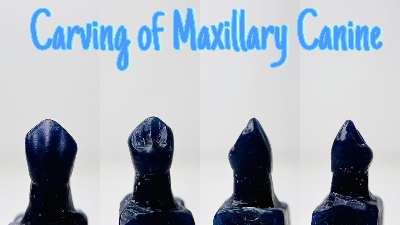 28 يناير، 2026