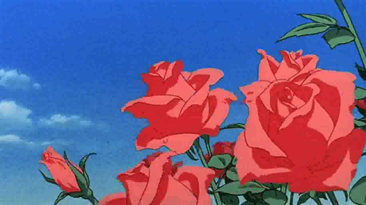 Lynn Anderson - Rose Garden (slowed & reverb)