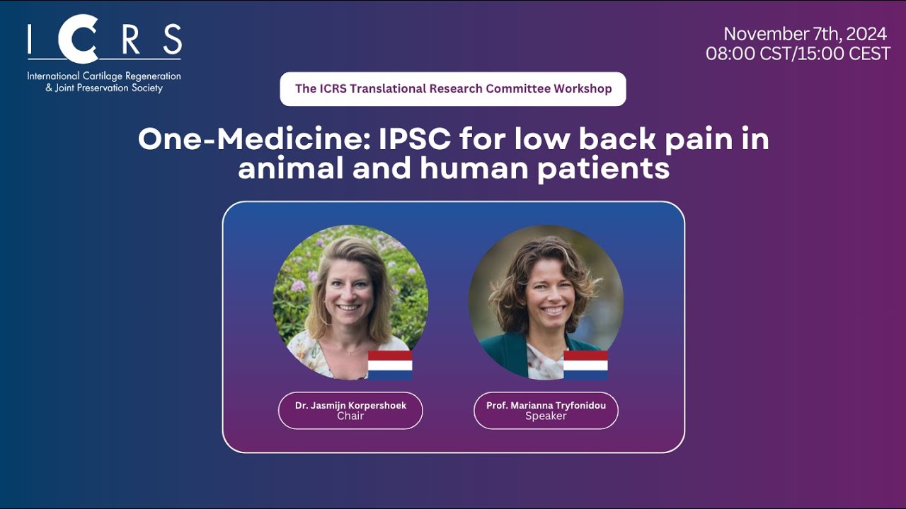 One-Medicine: IPSC for low back pain in animal and human patients