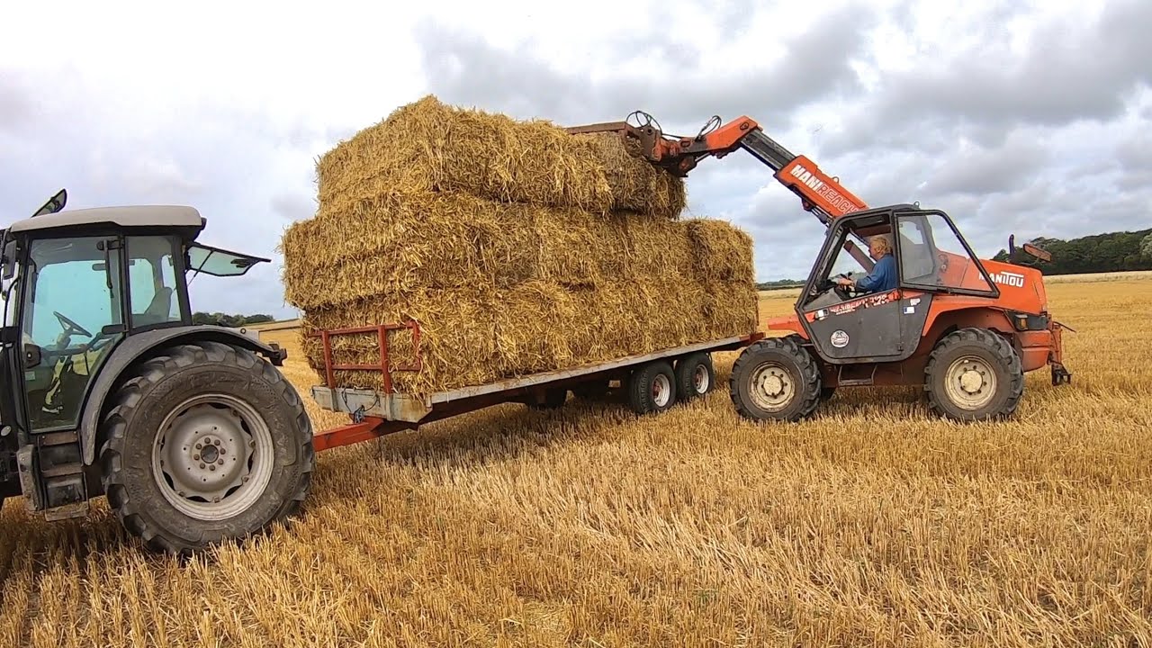 BIG STRAW CROPS MAKE HAPPY FARMERS!