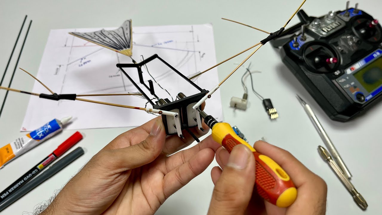Build An RC Ornithopter With Differential Flapping System #ornithopter #howto