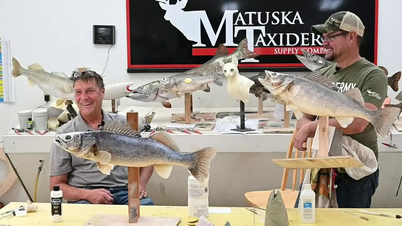 Learn Taxidermy: Part 8: Mounting a Walleye from A-Z