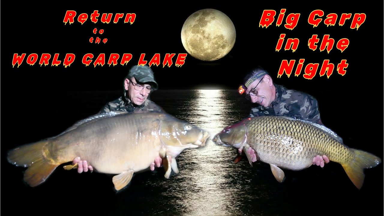 World Carp Lake - Postazione 4