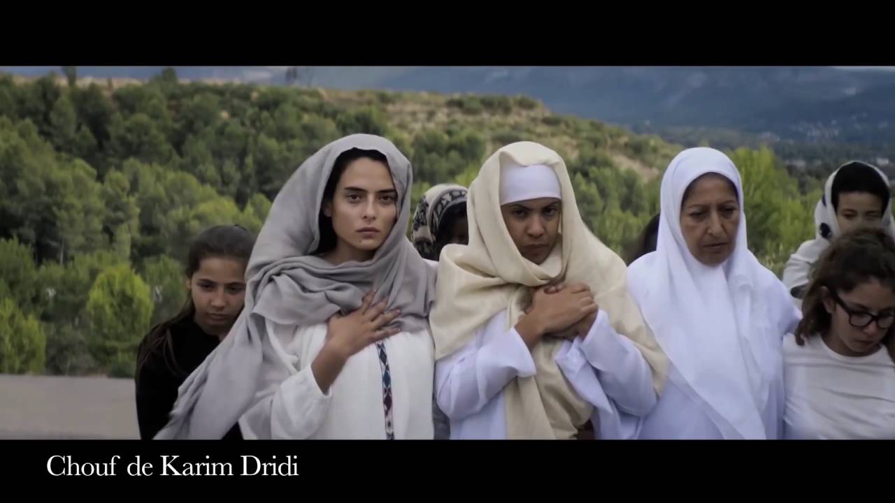 Bande annonce festival du film arabe 2016