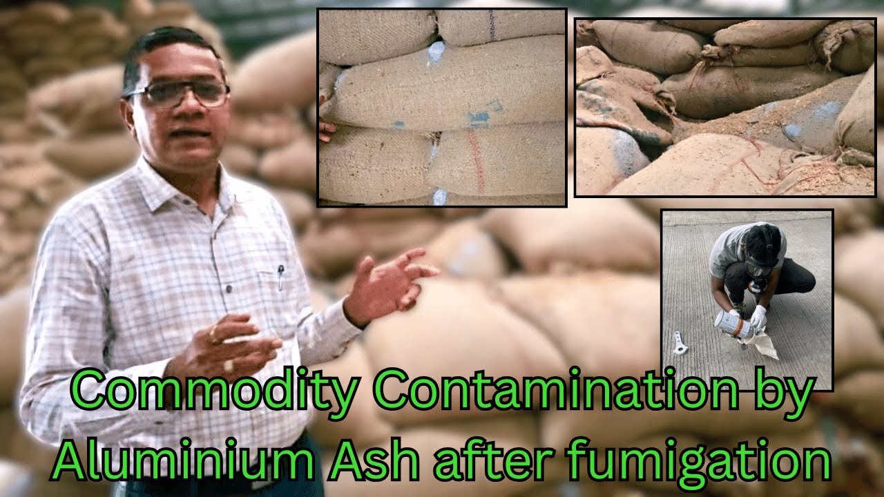 Commodity Contamination by Ash after fumigation| ALP fumigation| Aluminium Phosphide