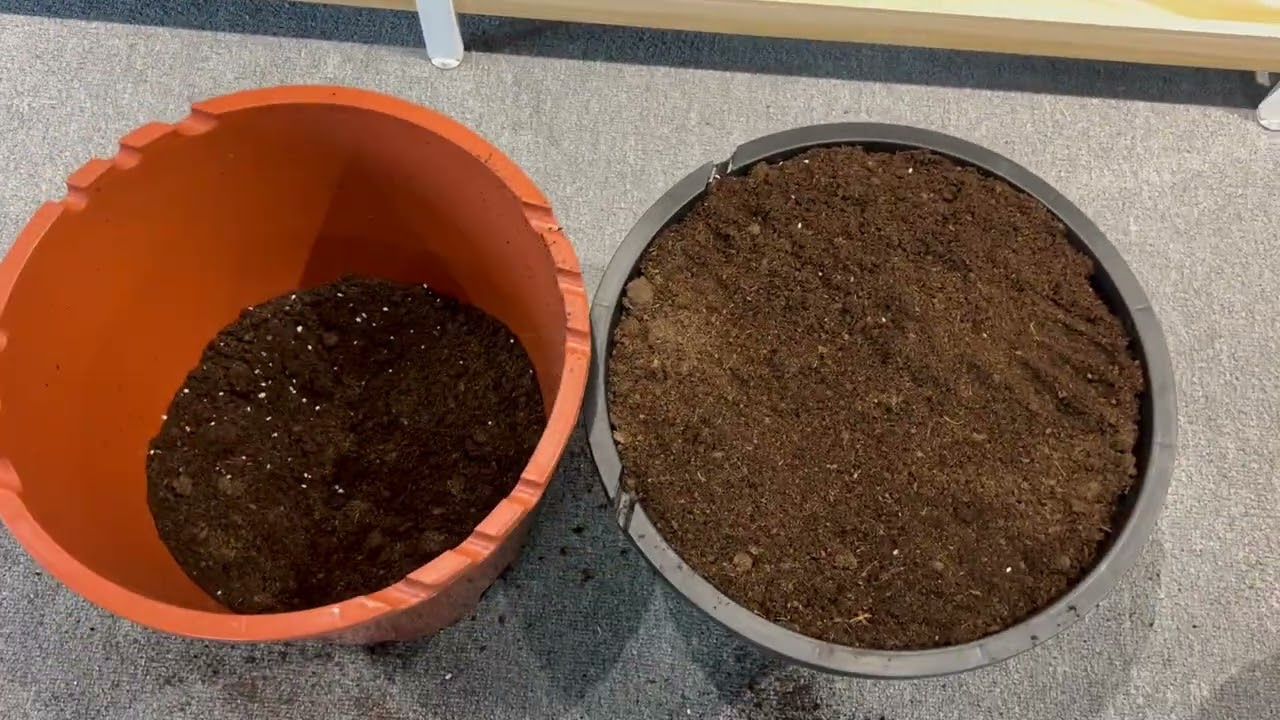Does Every 35L Grow Pot Really Hold 35 Liters? #ar&aacute;ndano  #macetas #bluleberry #planterpots