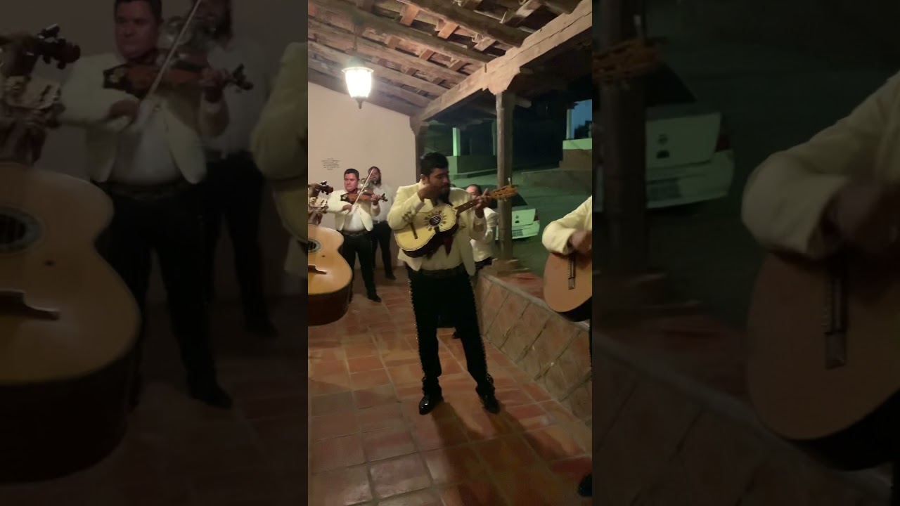 Mariachi Juvenil Guachinango ( El Caballo Palomino)