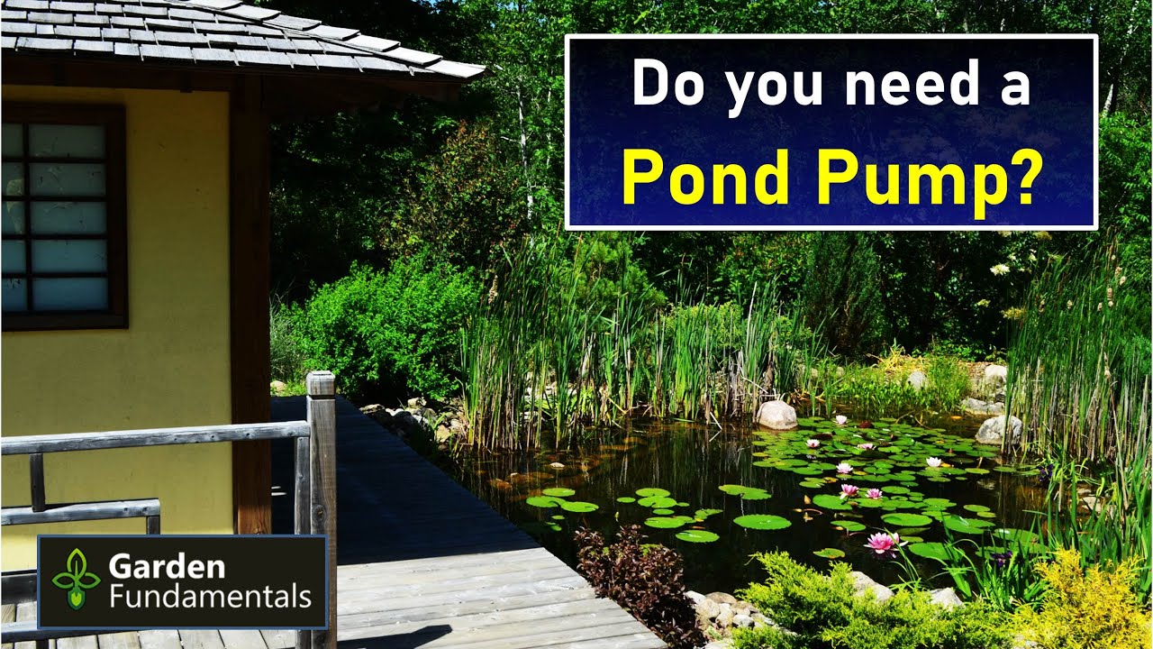 Do You Need a Pond Pump? Take this quiz and find out.