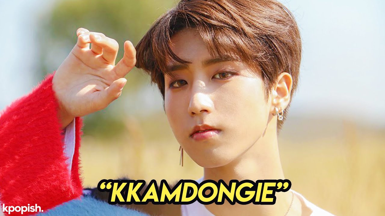 What did Stray Kids Han do?