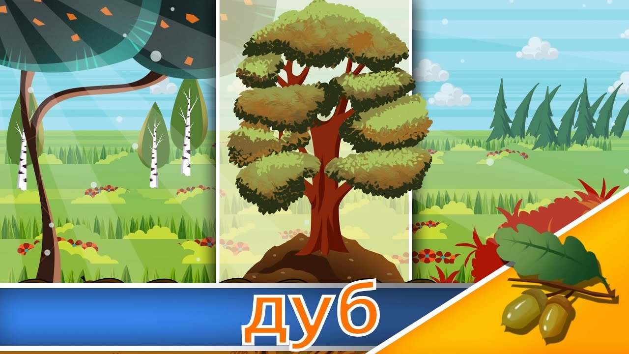 Загадки про дерева