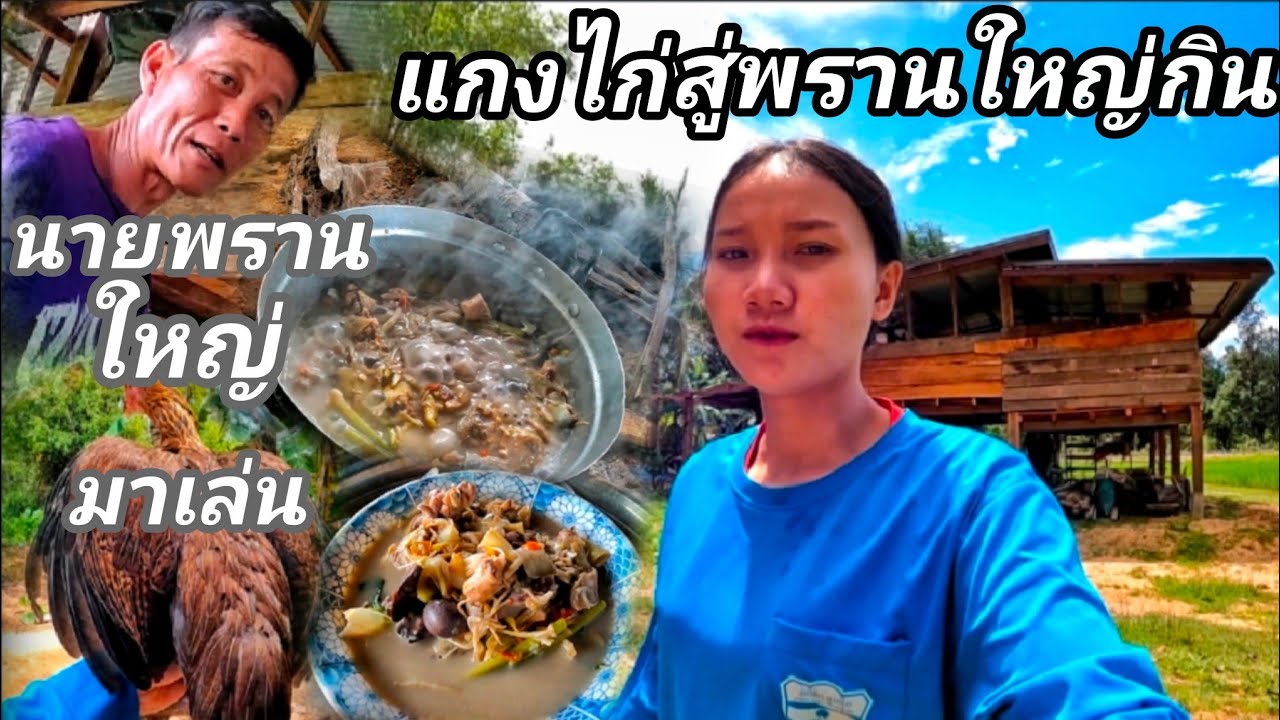 11 สิงหาคม ค.ศ 2025 ปลา