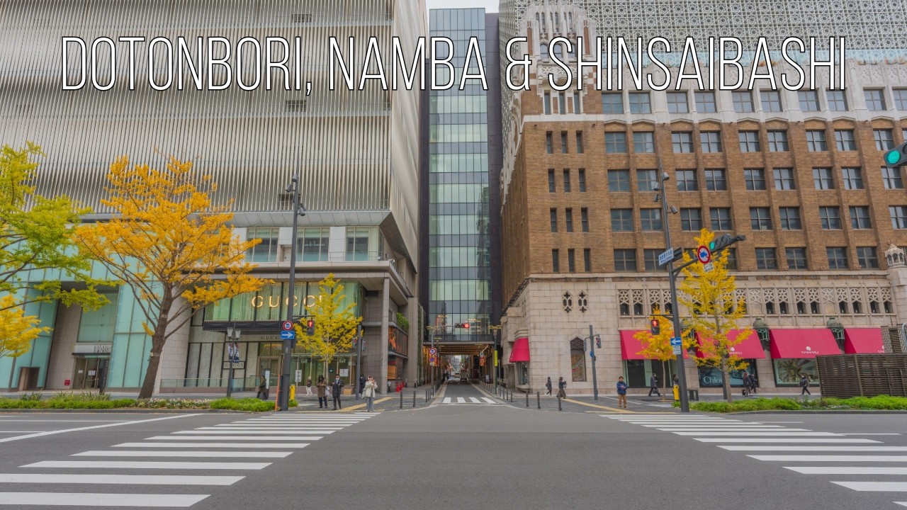 [8K Japan] Dotonbori, Namba & Shinsaibashi