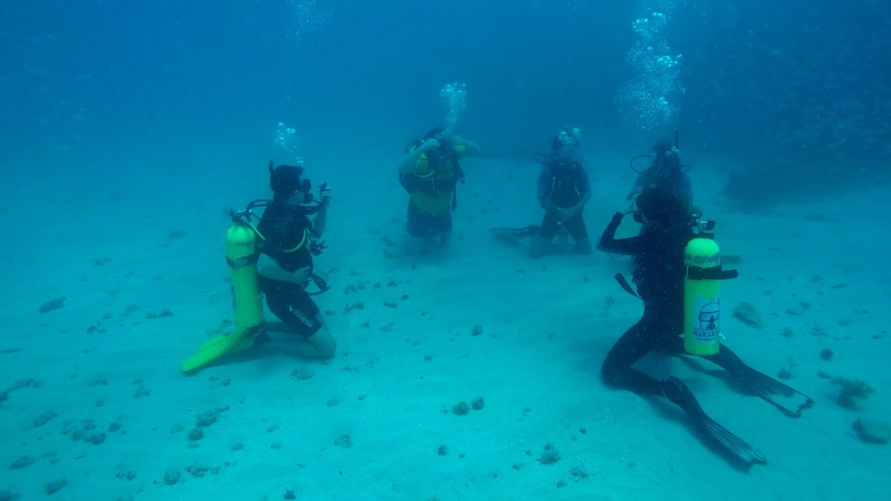 Check-Out Open Water Dive PADI