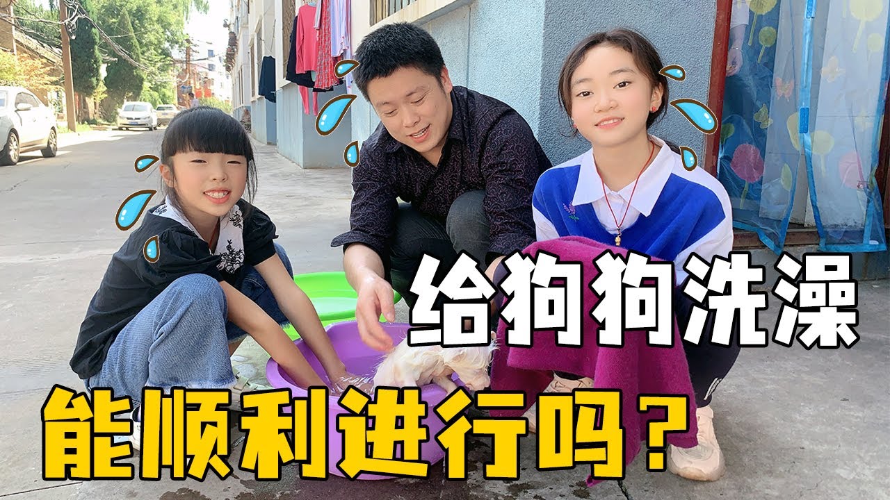 晴宝和姐姐给狗狗洗澡，搓起的泡沫都是灰色，妈妈满脸“嫌弃”【家有晴宝vlog】