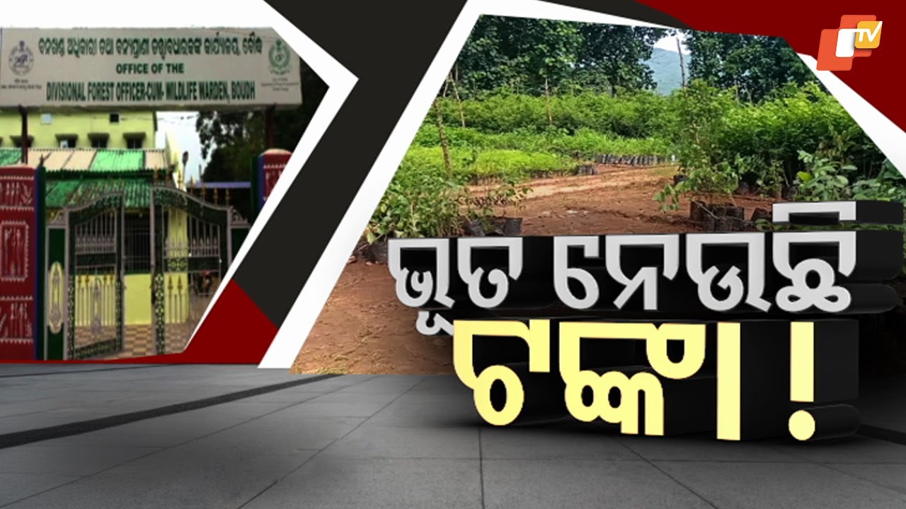 Ghost Workers Scam in Boudh Forest Dept’s MGNREGA Project Exposed