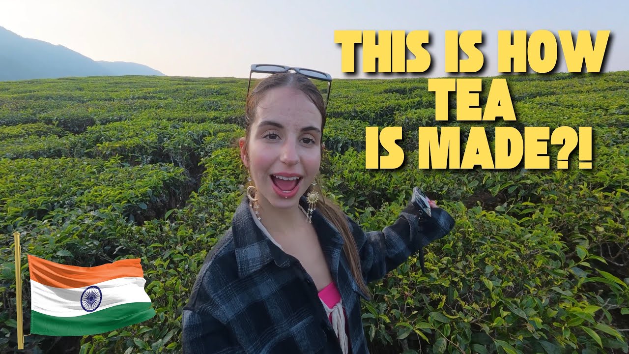 Внутри индийской чайной фабрики🇮🇳: как на самом деле производится ваш чай